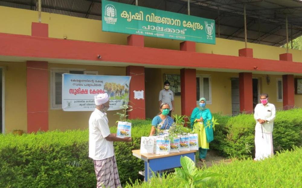 Inauguration of Subhiksha Keralam programme at  Pattambi - 1