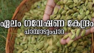 Embedded thumbnail for Cardamom Research Station Pampadumpara | ഏലം ഗവേഷണ കേന്ദ്രം പാമ്പാടുംപാറ